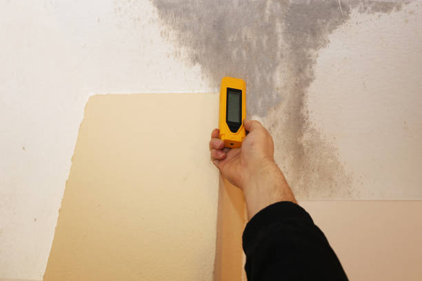 Best Air Quality Testing for Mold Spores  in Pepper Pike, OH